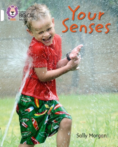 Your Senses - Band 10/White