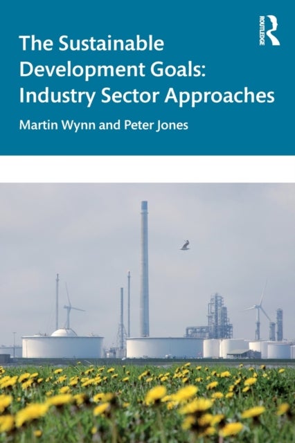 The Sustainable Development Goals - Industry Sector Approaches