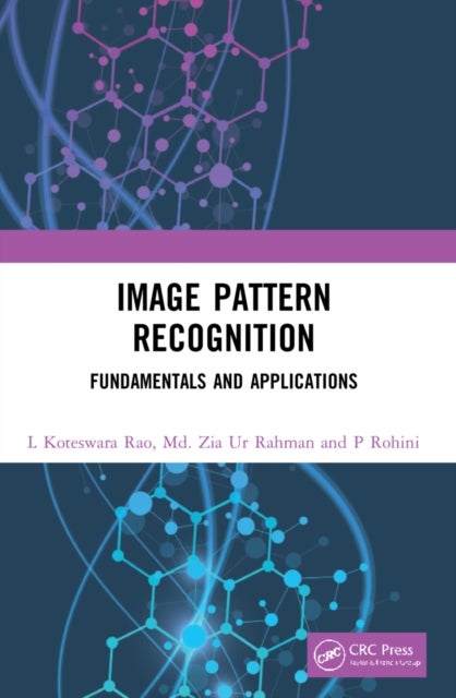 Image Pattern Recognition - Fundamentals and Applications