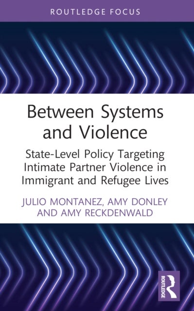 Between Systems and Violence - State-Level Policy Targeting Intimate Partner Violence in Immigrant and Refugee Lives