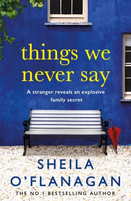 Things We Never Say - Family secrets, love and lies – this gripping bestseller will keep you guessing …