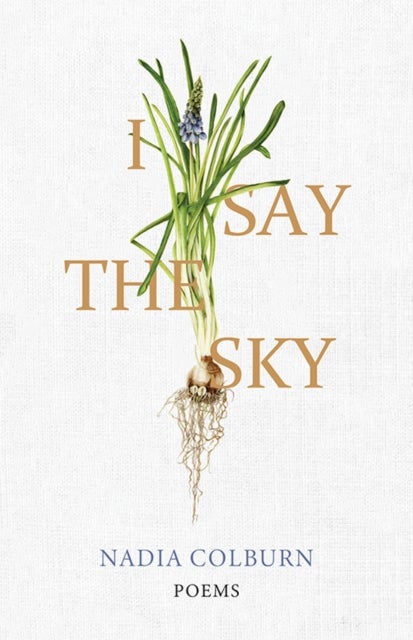 I Say the Sky - Poems