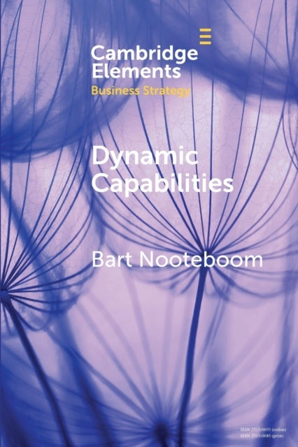 Dynamic Capabilities - History and an Extension