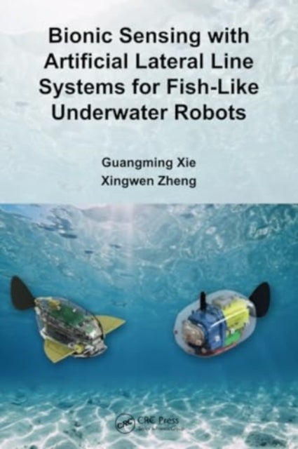 Bionic Sensing with Artificial Lateral Line Systems for Fish-Like Underwater Robots