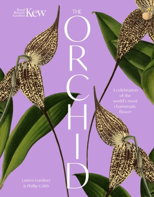 The Orchid - A celebration of the world's most charismatic flower