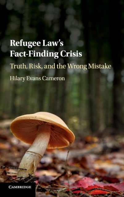Refugee Law's Fact-Finding Crisis - Truth, Risk, and the Wrong Mistake