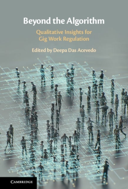 Beyond the Algorithm - Qualitative Insights for Gig Work Regulation