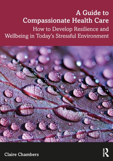 A Guide to Compassionate Healthcare - How to Develop Resilience and Wellbeing in Today’s Stressful Environment