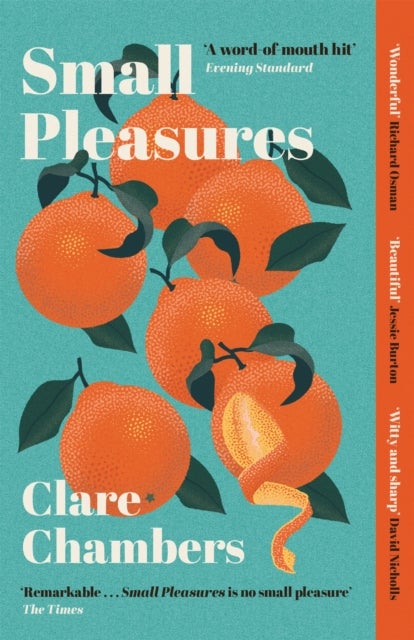 Small Pleasures - Longlisted for the Women's Prize for Fiction
