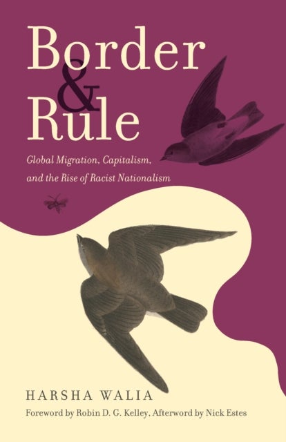 Border and Rule - Global Migration, Capitalism, and the Rise of Racist Nationalism