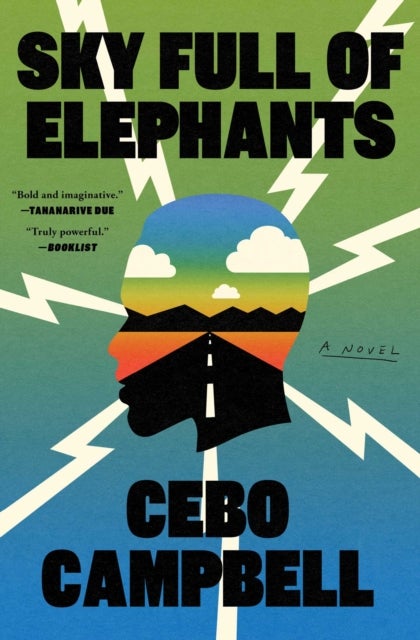 Sky Full of Elephants - A Novel