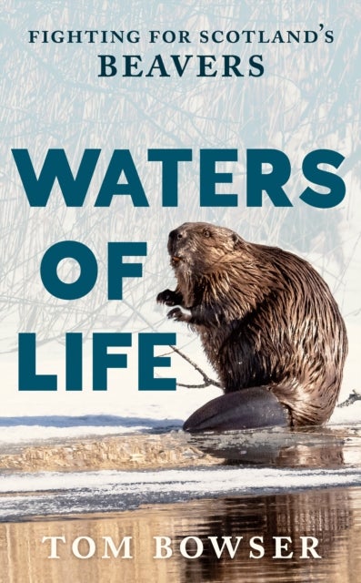 Waters of Life - Fighting for Scotland’s Beavers