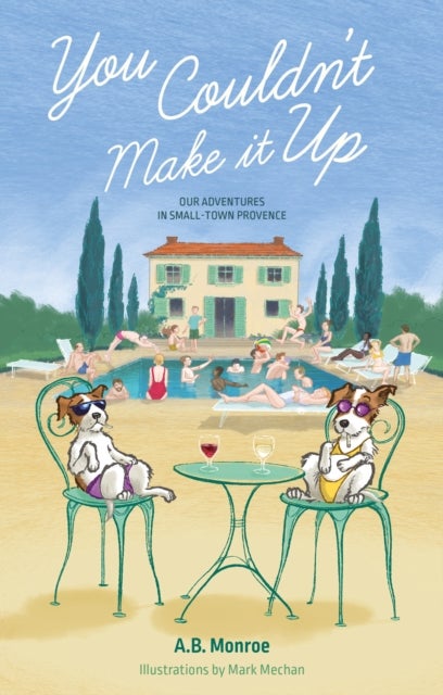 You Couldn¿t Make it Up - Our Adventures in Small Town Provence