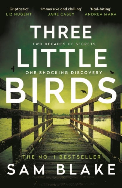 Three Little Birds - 'The modern-day Agatha Christie' Steve Cavanagh
