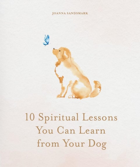 10 Spiritual Lessons You Can Learn from Your Dog - Essential Life Lessons We Can Learn From Our Furry Friend