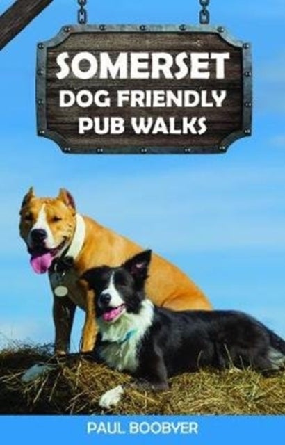 Somerset Dog Friendly Pub Walks - 20 Dog Walks