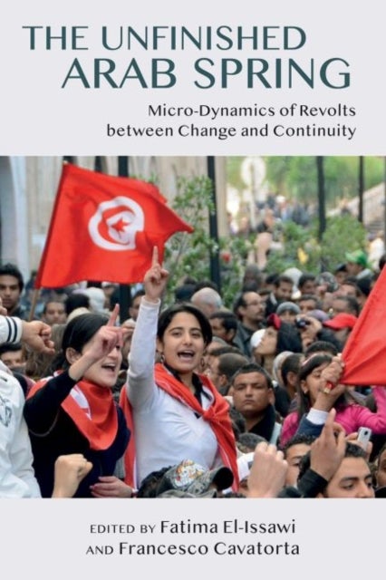 The Unfinished Arab Spring - Micro-Dynamics of Revolts between Change and Continuity