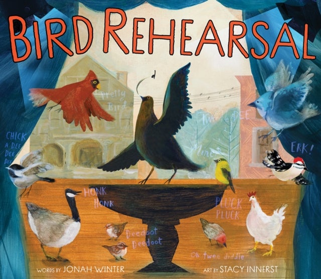 Bird Rehearsal - A Picture Book