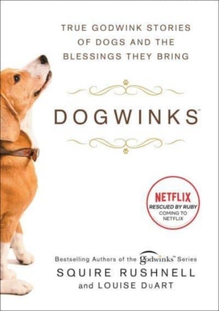 Dogwinks - True Godwink Stories of Dogs and the Blessings They Bring