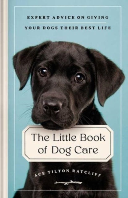 The Little Book of Dog Care - Expert Advice on Giving Your Dog Their Best Life