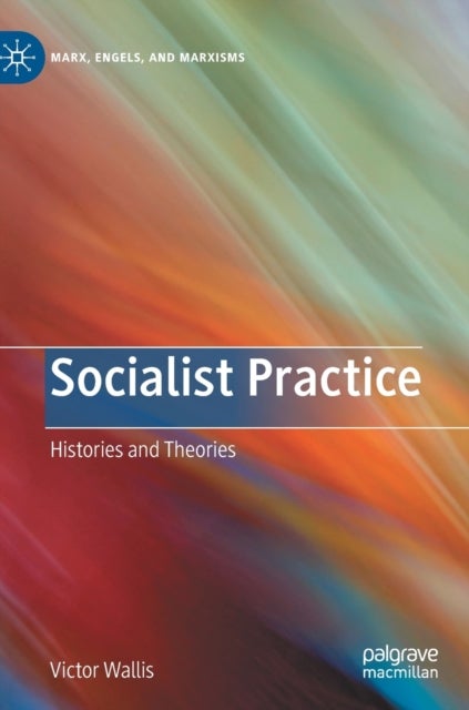 Socialist Practice - Histories and Theories