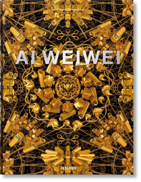 Ai Weiwei - Updated Edition