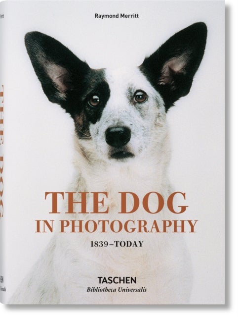 The Dog in Photography 1839¿Today