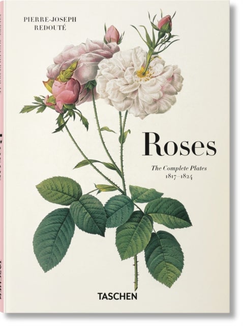 Redoute - Roses