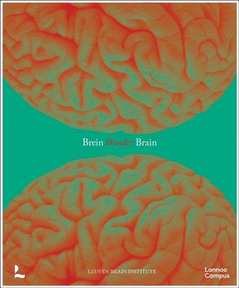 Wonder Brain