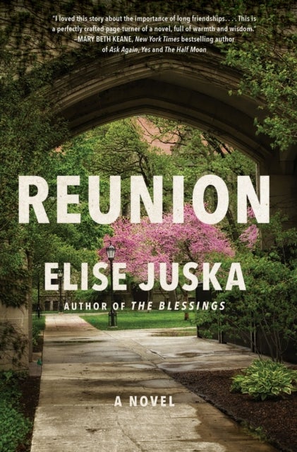 Reunion - A Novel