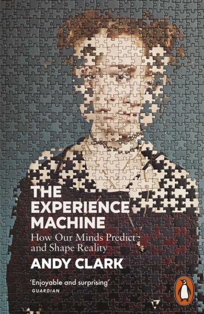 The Experience Machine - How Our Minds Predict and Shape Reality