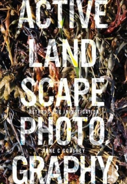 Active Landscape Photography - Methods for Investigation
