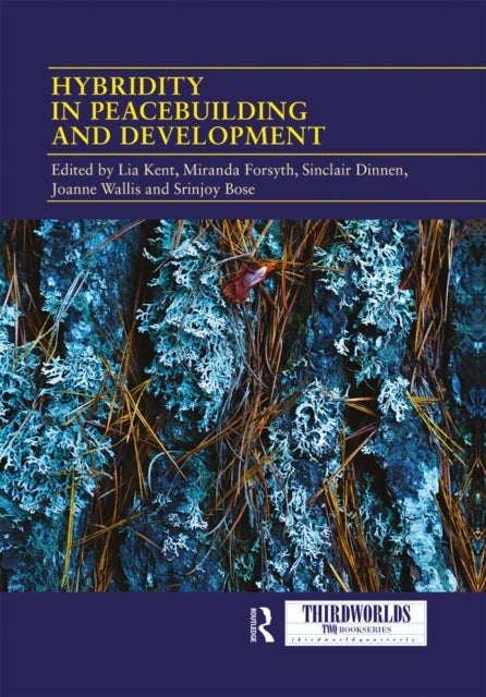 Hybridity in Peacebuilding and Development - A Critical and Reflexive Approach