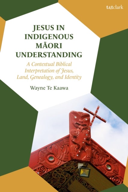 Jesus in Indigenous Maori Understanding - A Contextual Biblical Interpretation of Jesus, Land, Genealogy, and Identity