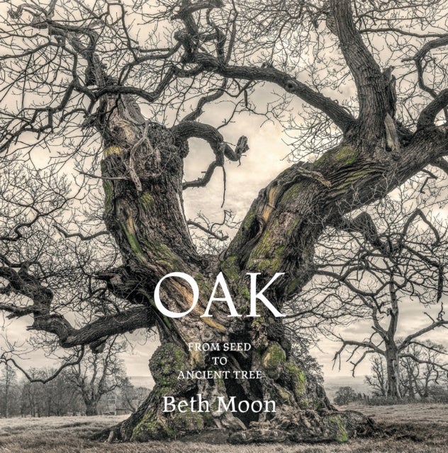 Oak - From Seed to Ancient Tree