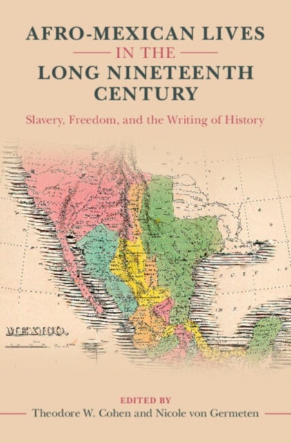 Afro-Mexican Lives in the Long Nineteenth Century - Slavery, Freedom, and the Writing of History