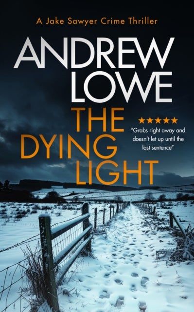 The Dying Light - A page-turning, chilling British crime novel with twists