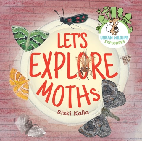 Let's Explore Moths - An urban wildlife explorers book