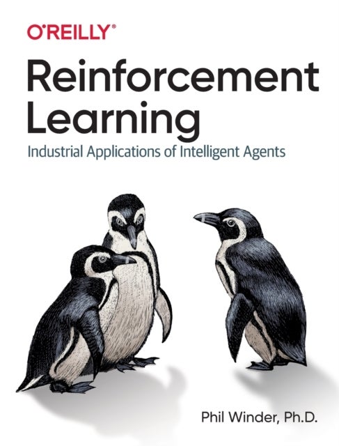 Reinforcement Learning - Industrial Applications of Intelligent Agents