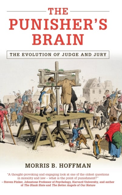 The Punisher's Brain - The Evolution of Judge and Jury