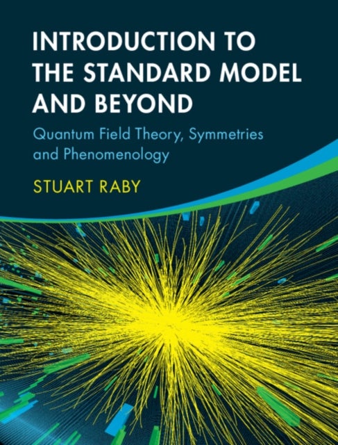 Introduction to the Standard Model and Beyond - Quantum Field Theory, Symmetries and Phenomenology