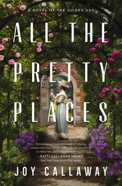 All the Pretty Places - A Novel of the Gilded Age