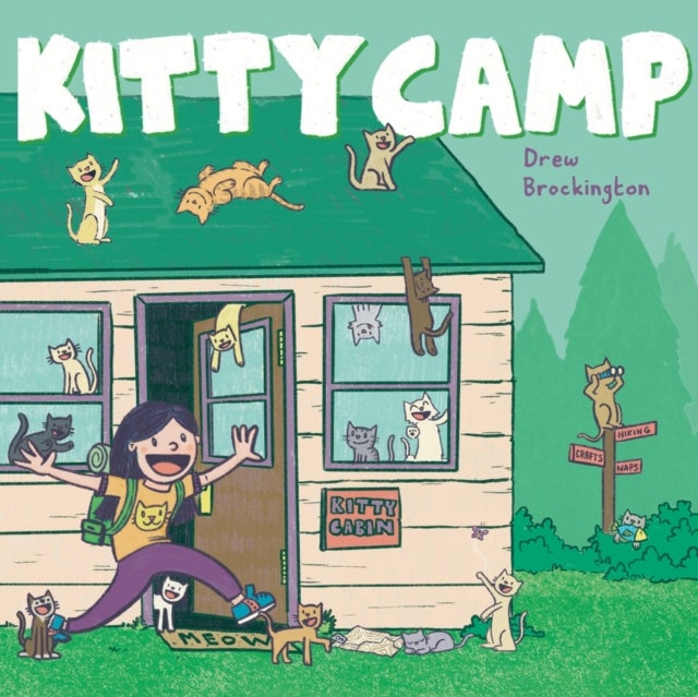 Kitty Camp - A Picture Book