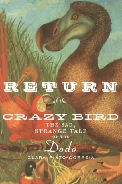 Return of the Crazy Bird - The Sad, Strange Tale of the Dodo
