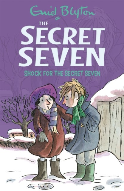 Secret Seven: Shock For The Secret Seven - Book 13