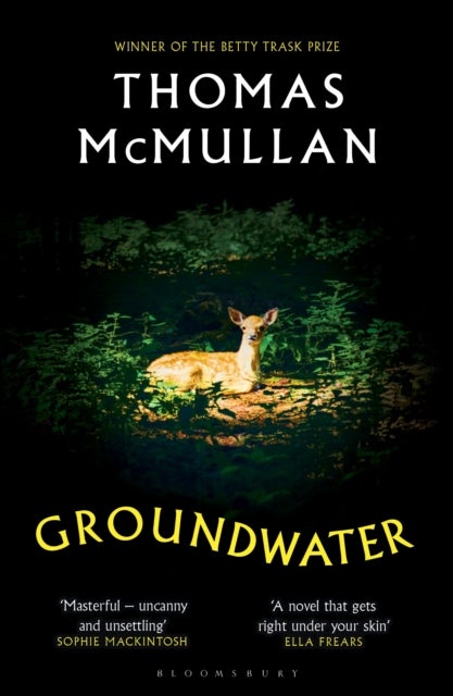 Groundwater - ‘Complex, chilling, masterful' Financial Times