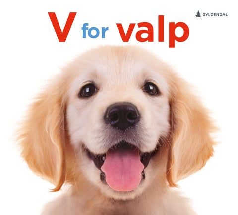 V for valp