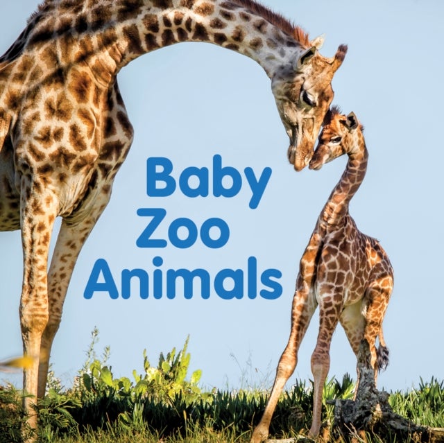 Baby Zoo Animals - Board book
