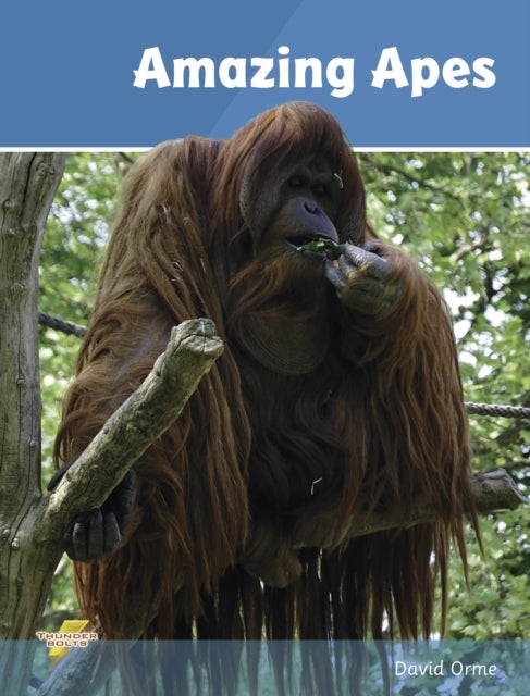Amazing Apes - Set 2