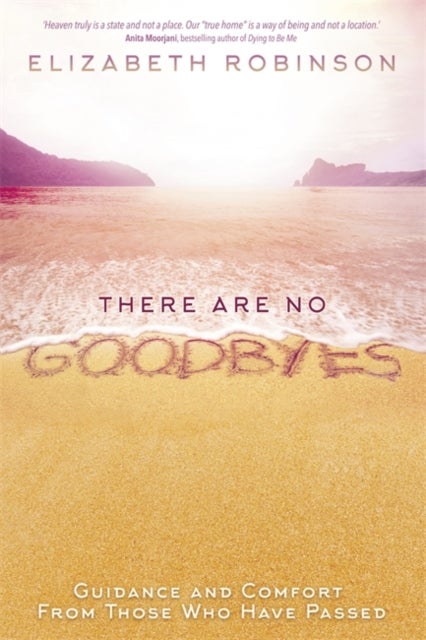 There Are No Goodbyes - Guidance and Comfort From Those Who Have Passed